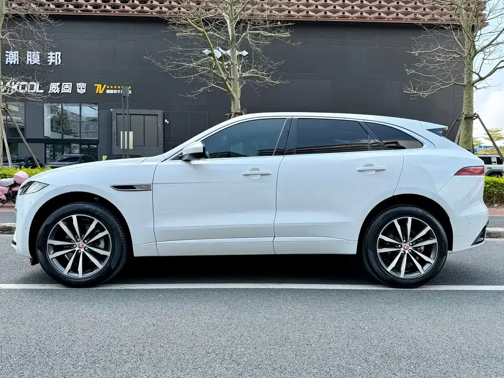 Jaguar F-PACE 2021 из CN, фото 6