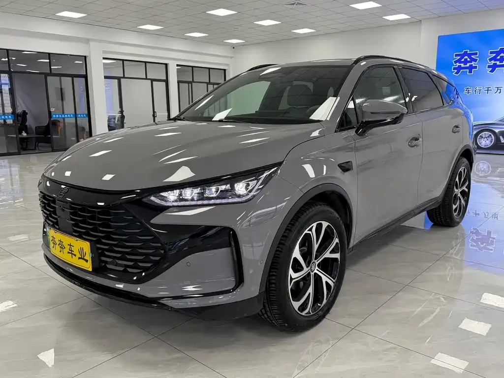 BYD Tang New Energy — фото 1