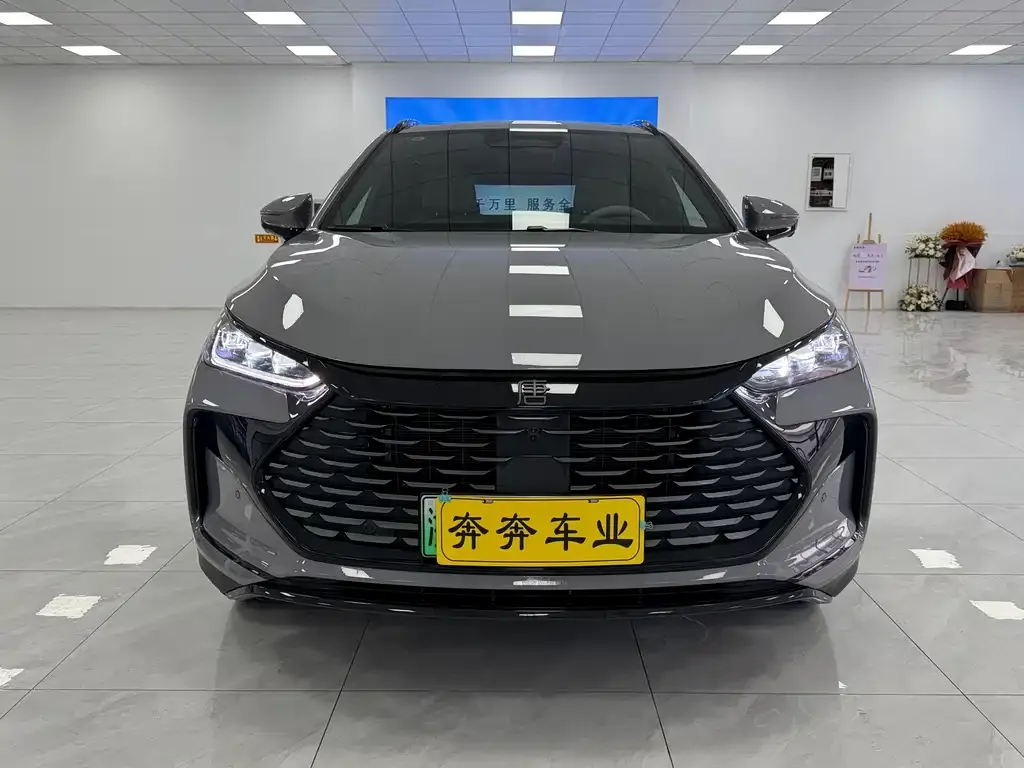BYD Tang New Energy — фото 10