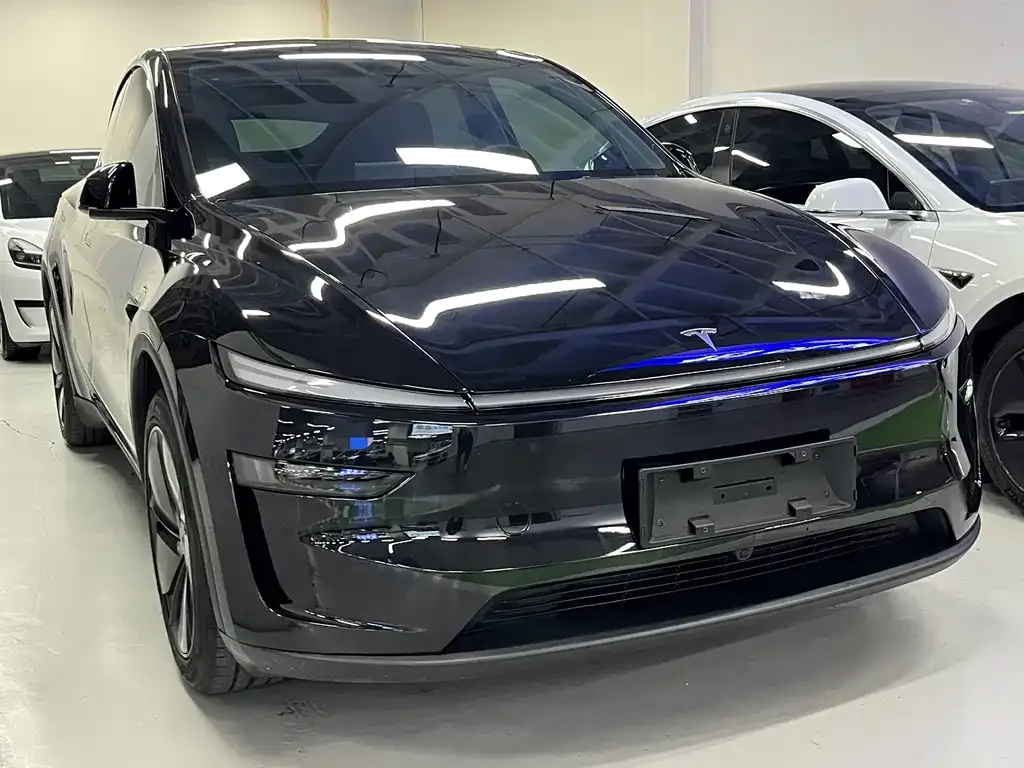 Tesla Model Y — фото 6