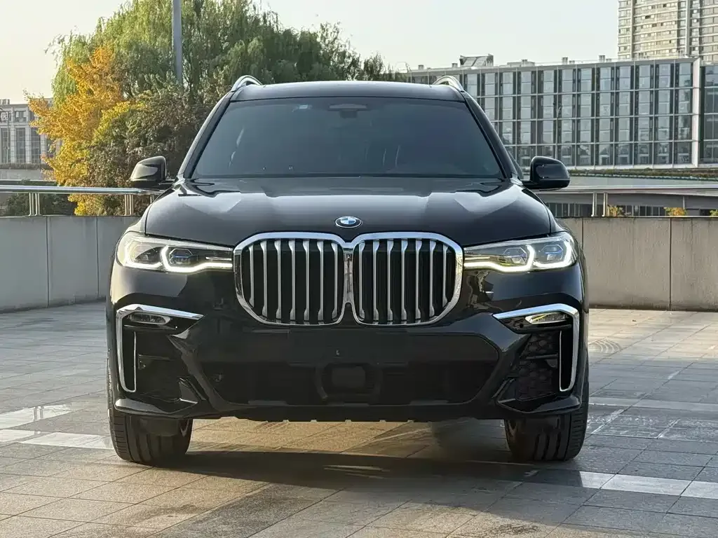 BMW X7 — фото 8