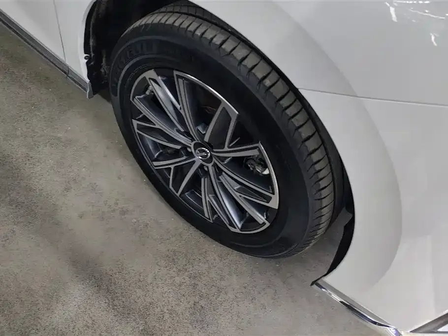 GAC Motor Trumpchi M8 2025 из CN, фото 2