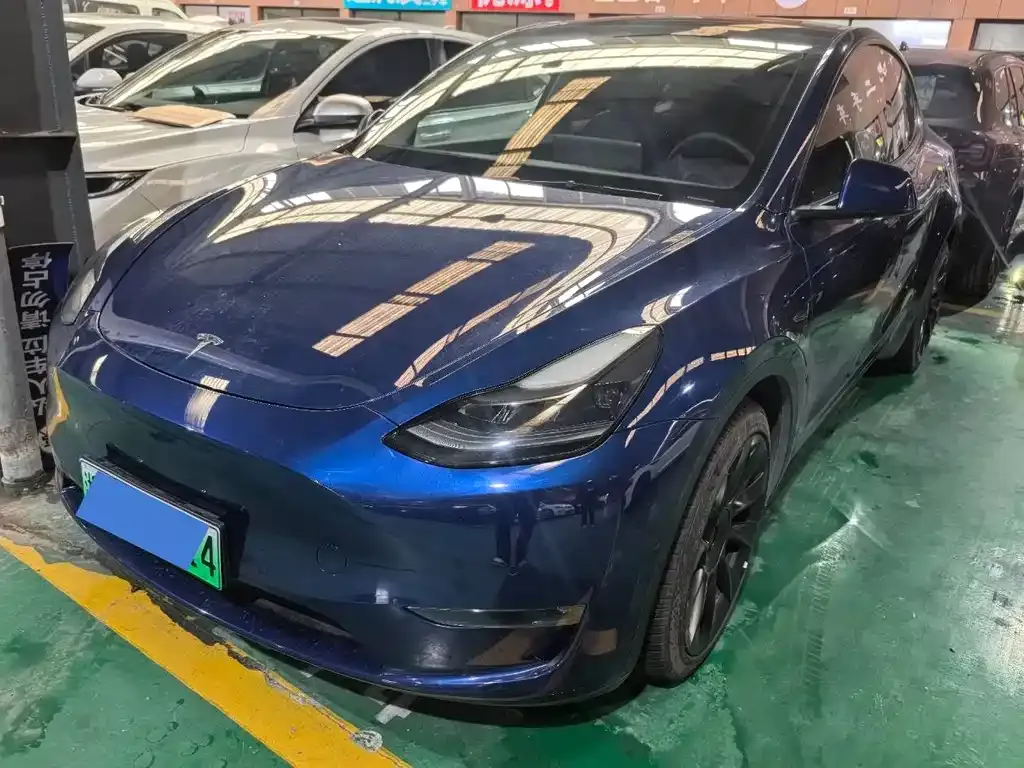 Tesla Model Y 2021 из CN, фото 1