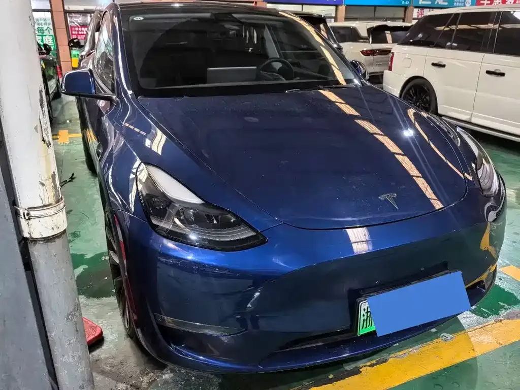 Tesla Model Y 2021 из CN, фото 2