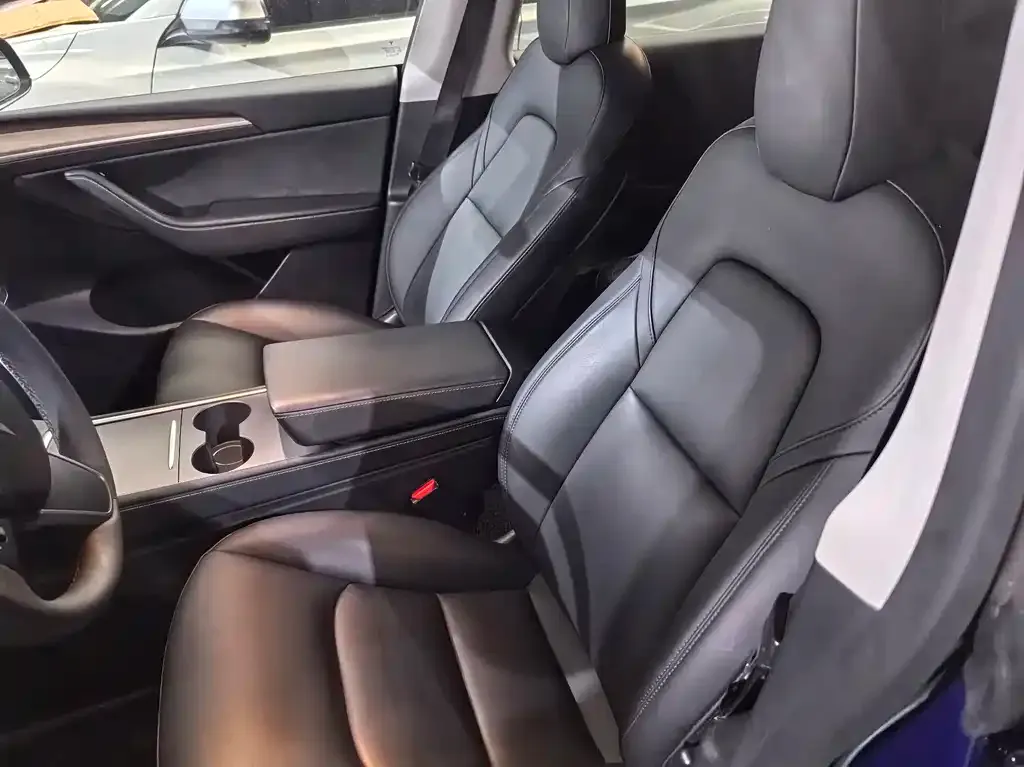 Tesla Model Y 2021 из CN, фото 6