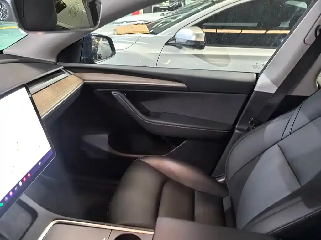 Tesla Model Y 2021 из CN, фото 7