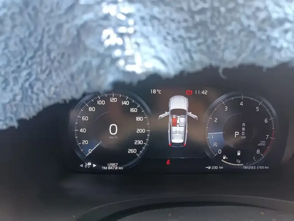 Volvo V90 2021 из CN, фото 3