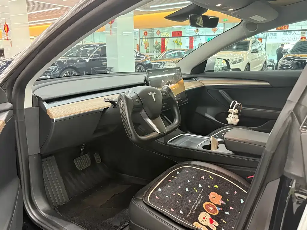 Tesla Model 3 2023 из CN, фото 5