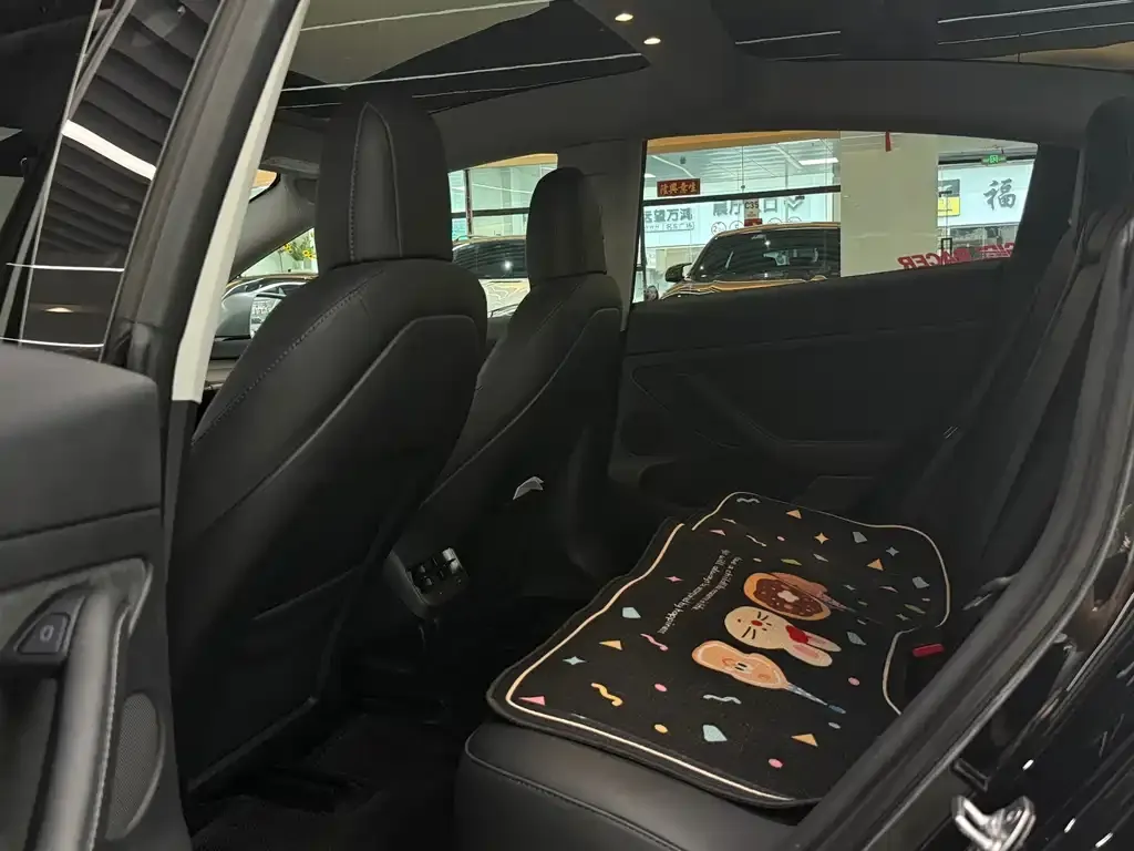 Tesla Model 3 2023 из CN, фото 2
