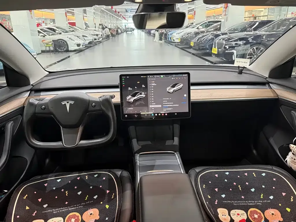 Tesla Model 3 2023 из CN, фото 7