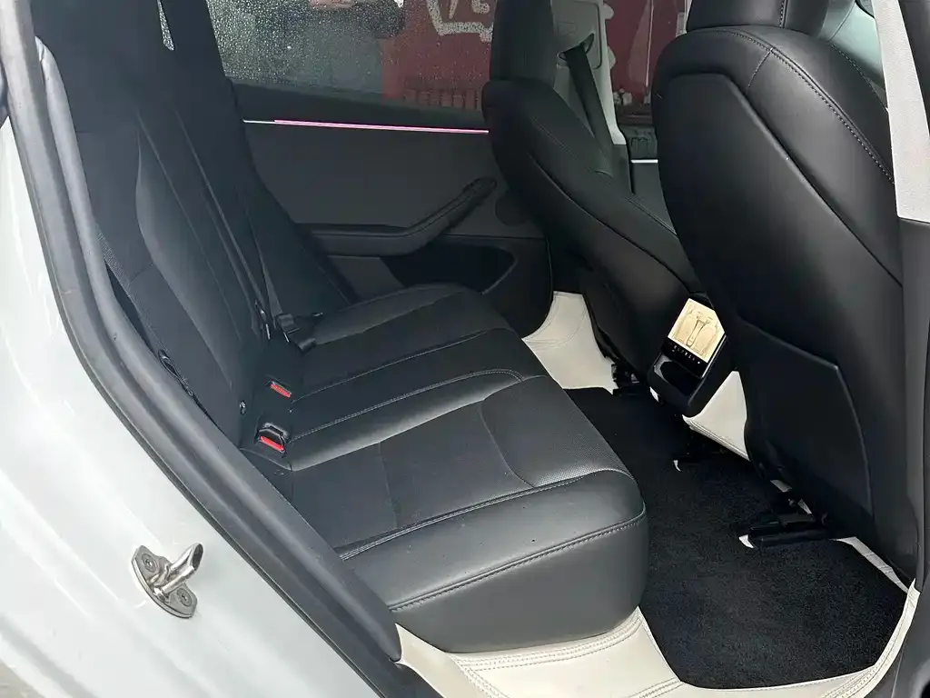 Tesla Model 3 2025 из CN, фото 4