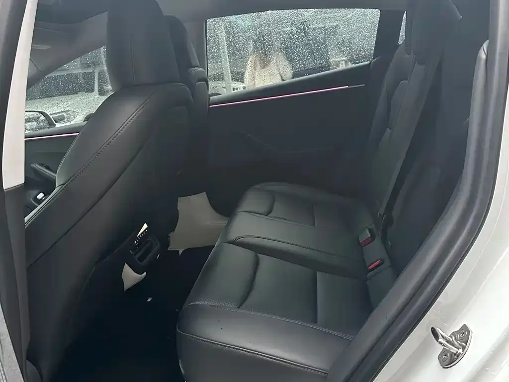 Tesla Model 3 2025 из CN, фото 2
