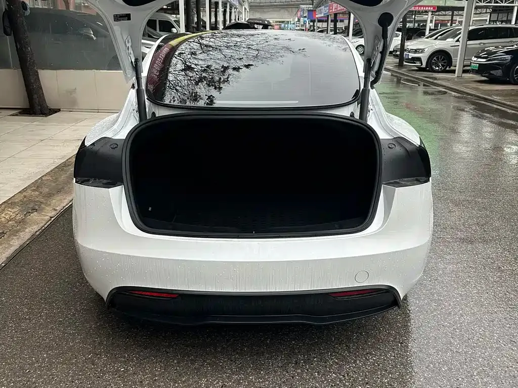 Tesla Model 3 2025 из CN, фото 10