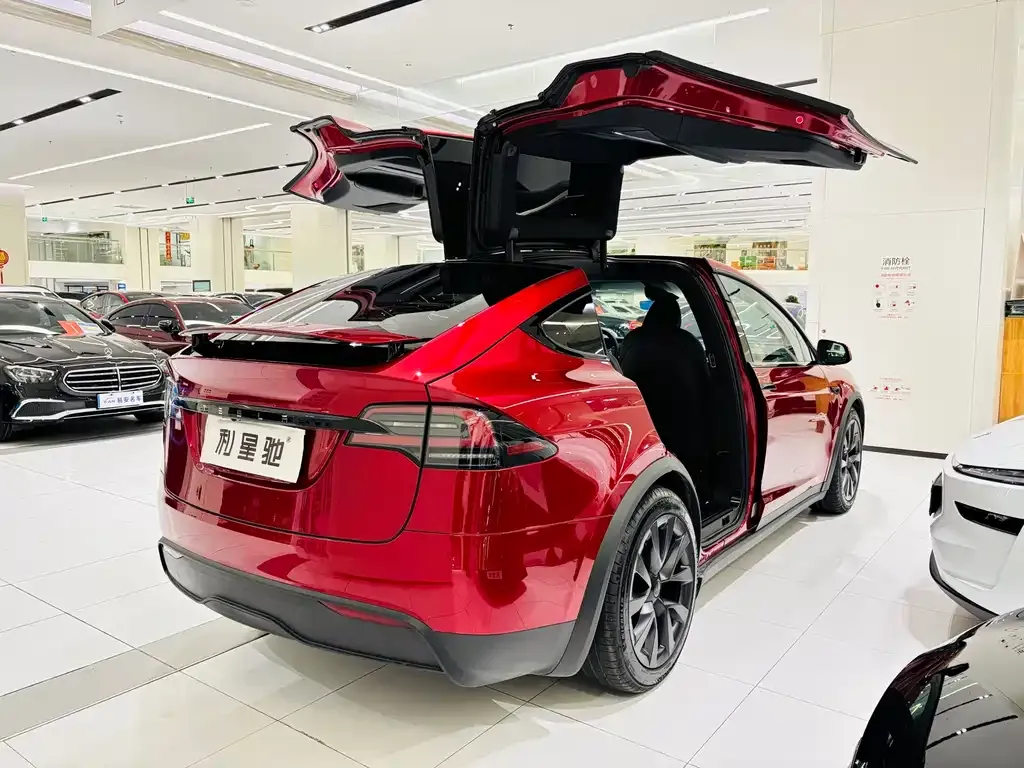 Tesla Model X — фото 10