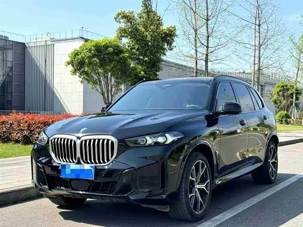 BMW X5 xDrive 30Li Premium M Sport
