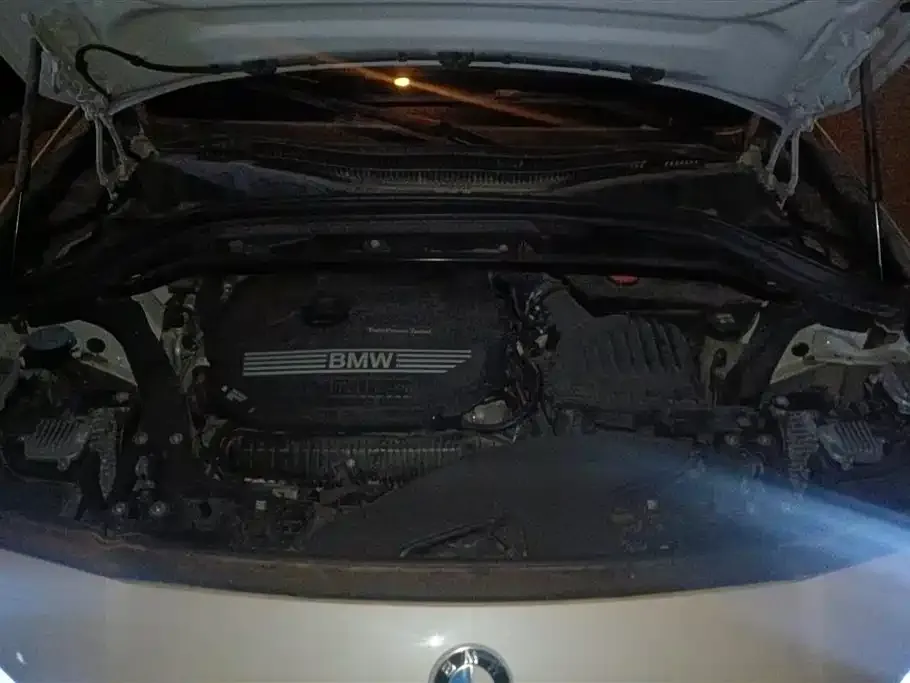 BMW X2 2021 из CN, фото 6