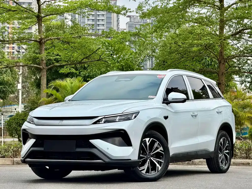 BYD Pro New Energy — фото 1