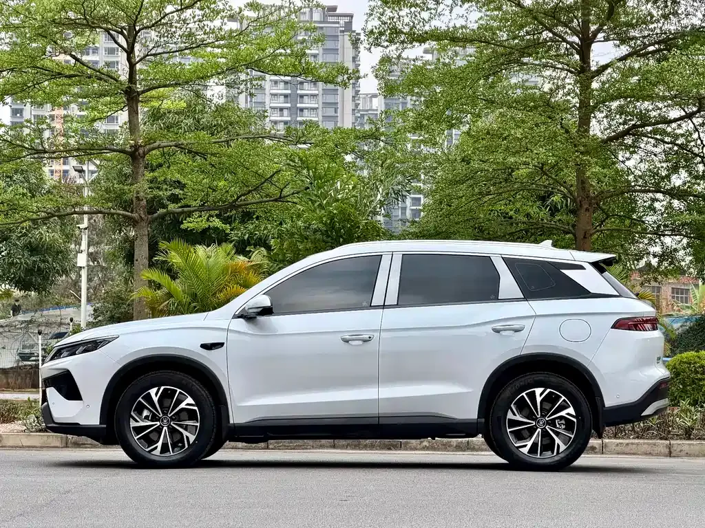 BYD Pro New Energy — фото 10