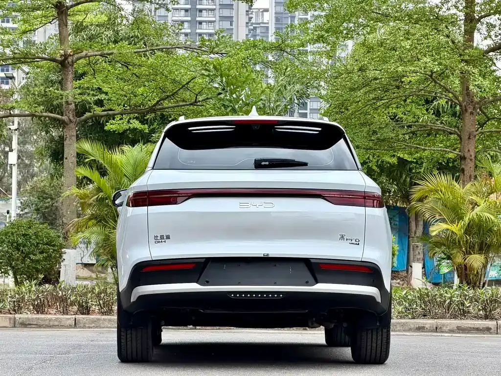 BYD Pro New Energy — фото 8