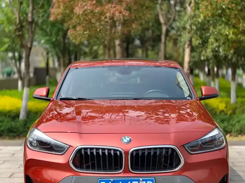 BMW X2 — фото 2