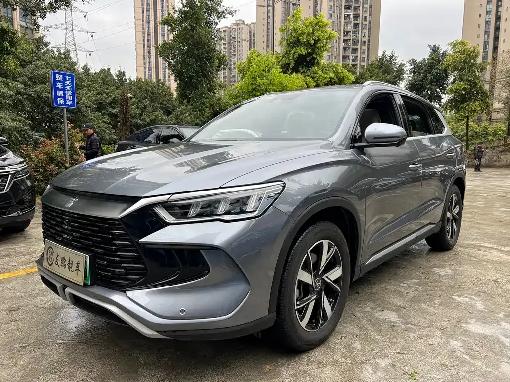 BYD Pro New Energy 2024 из CN, фото 1