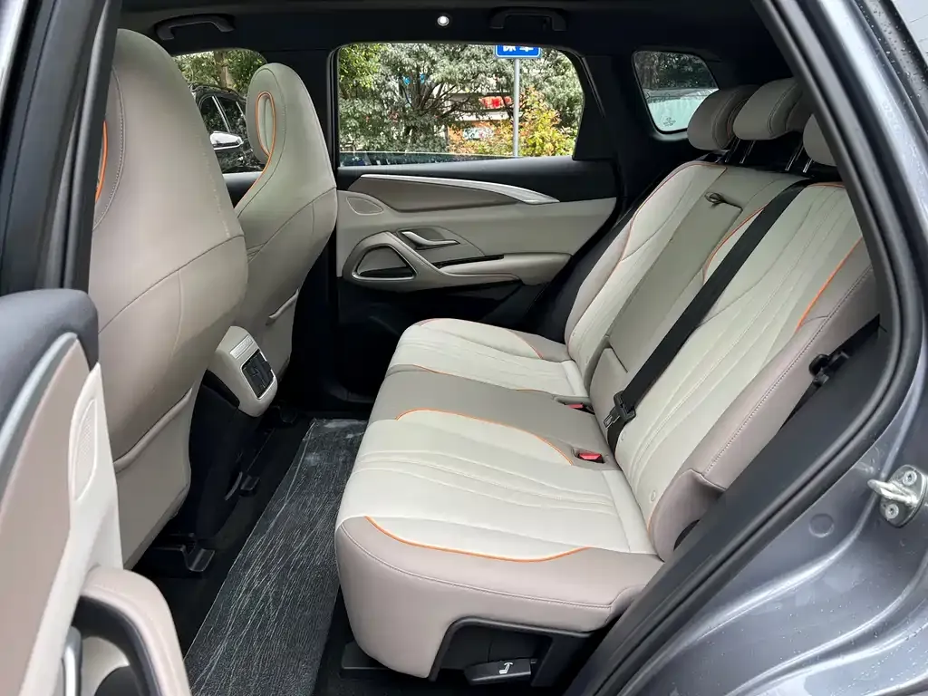 BYD Pro New Energy 2024 из CN, фото 5