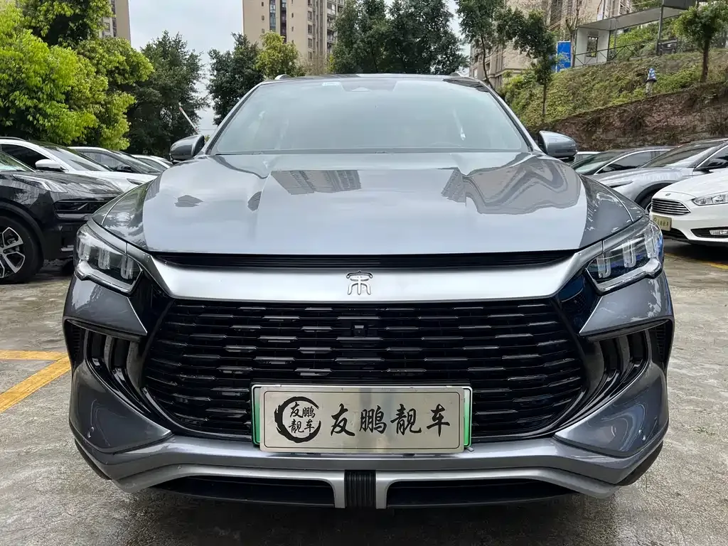 BYD Pro New Energy 2024 из CN, фото 3