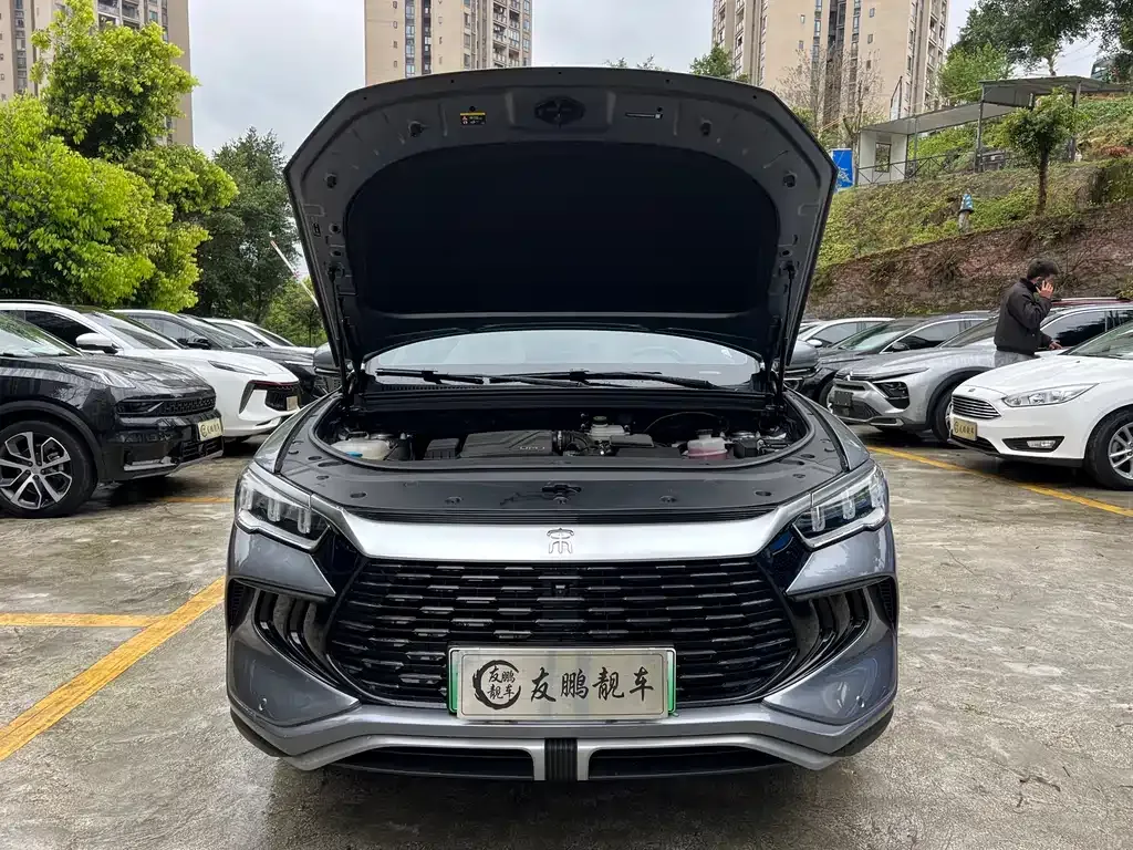 BYD Pro New Energy 2024 из CN, фото 8