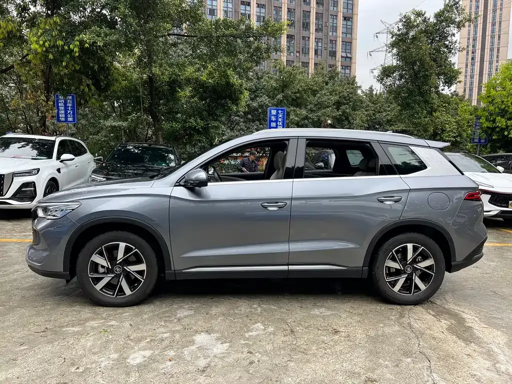BYD Pro New Energy 2024 из CN, фото 10