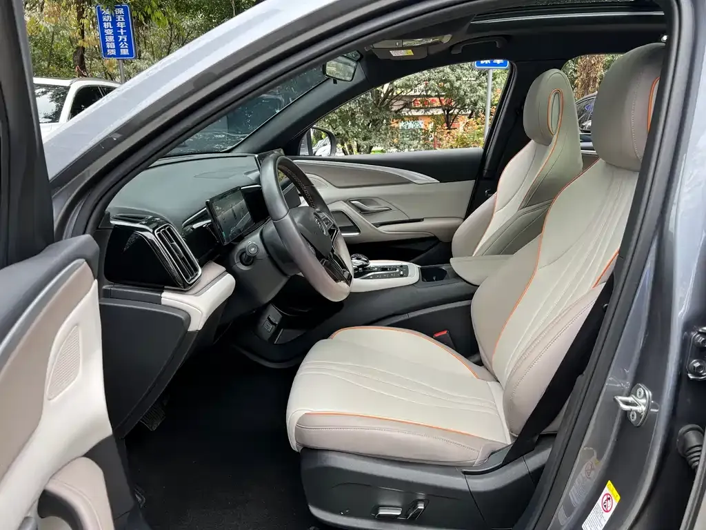 BYD Pro New Energy 2024 из CN, фото 6