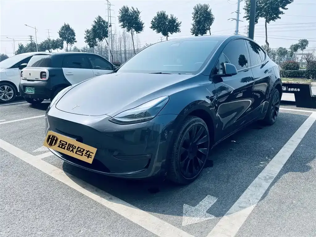 Tesla Model Y — фото 1