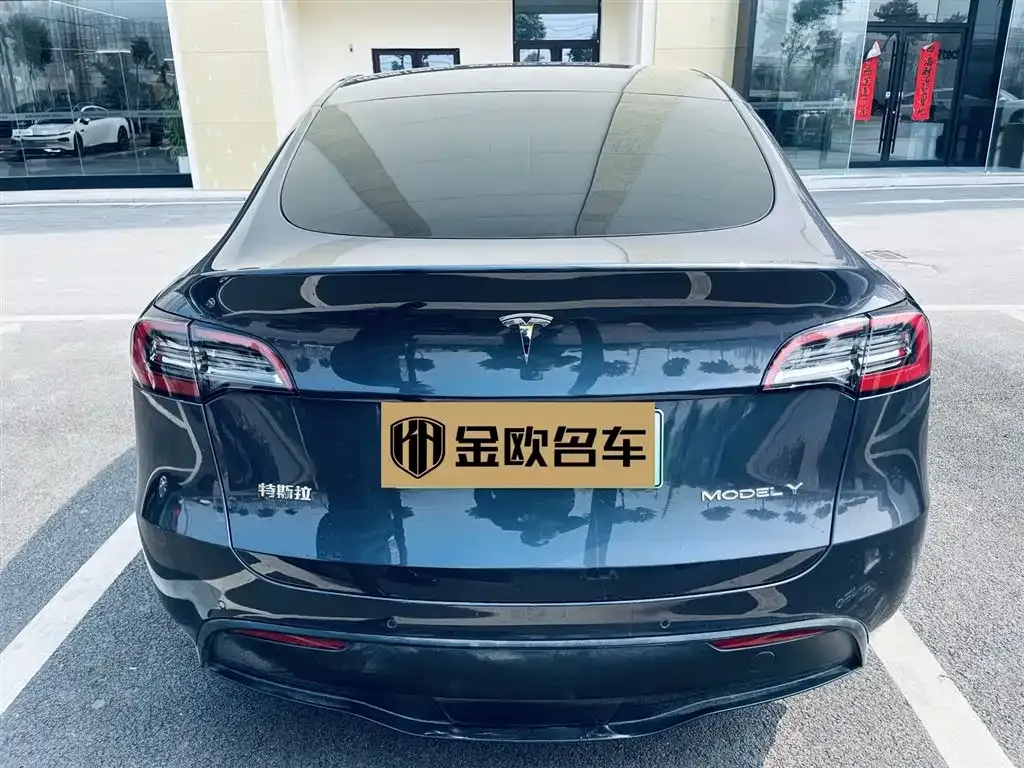 Tesla Model Y — фото 6