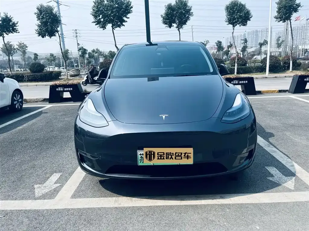 Tesla Model Y — фото 8