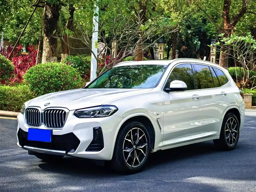 BMW X3 2022 из CN, фото 1