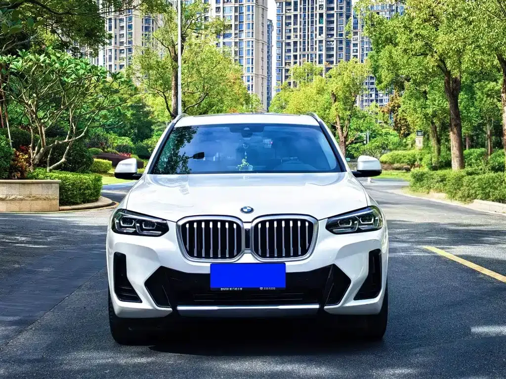 BMW X3 2022 из CN, фото 9