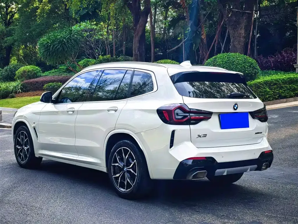 BMW X3 2022 из CN, фото 6