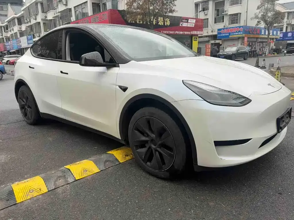 Tesla Model Y — фото 8