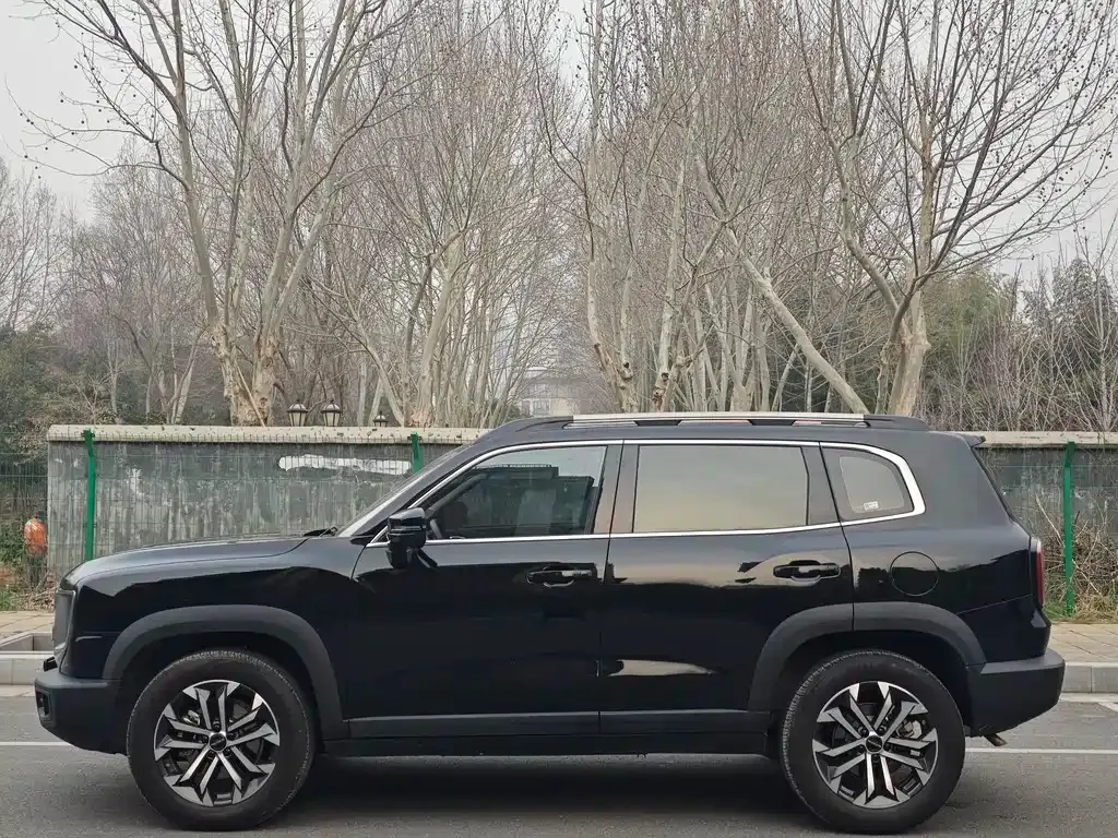 Haval Big Dog 2025 из CN, фото 10
