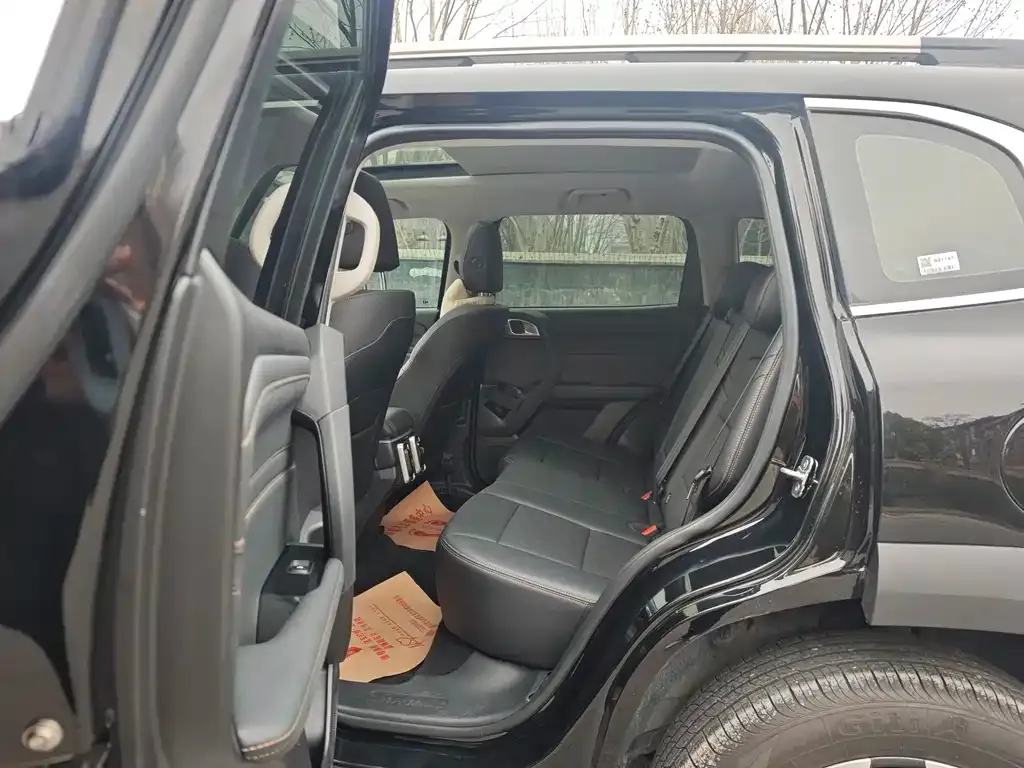 Haval Big Dog 2025 из CN, фото 8