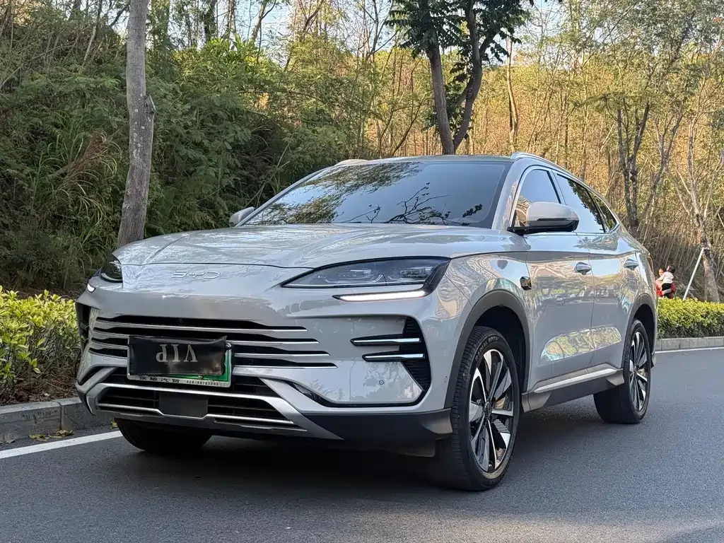 BYD PLUS New Energy — фото 1