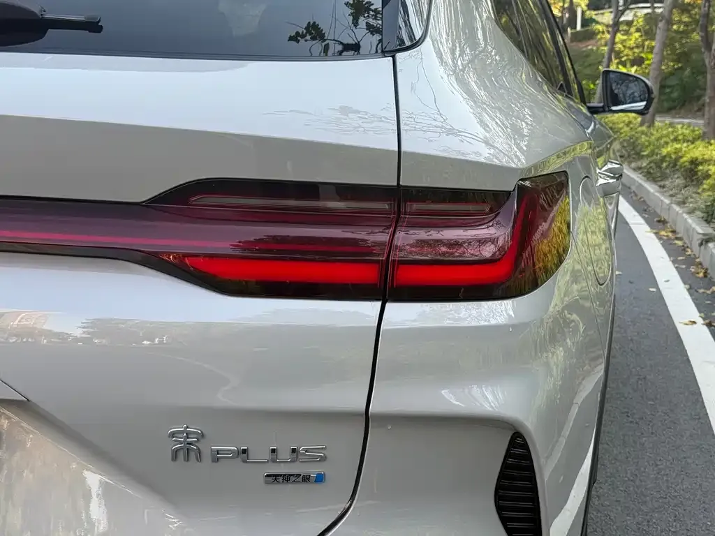 BYD PLUS New Energy — фото 3