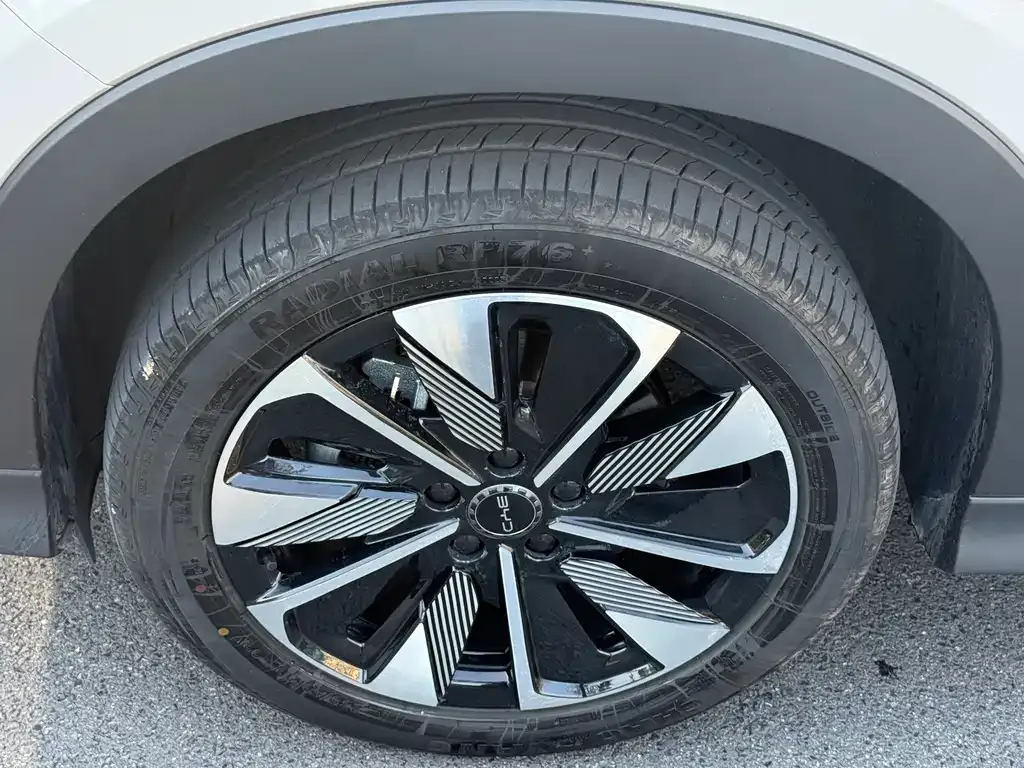 BYD PLUS New Energy — фото 2