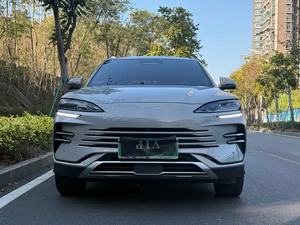 BYD PLUS New Energy — фото 9