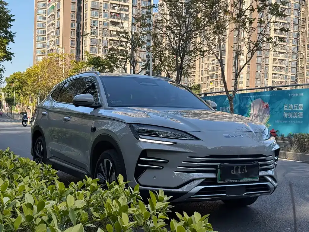 BYD PLUS New Energy — фото 8