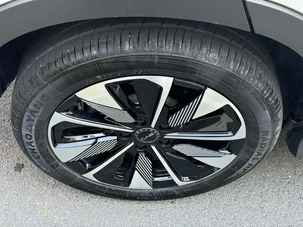 BYD PLUS New Energy — фото 6