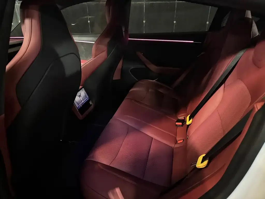 Tesla Model 3 2024 из CN, фото 6