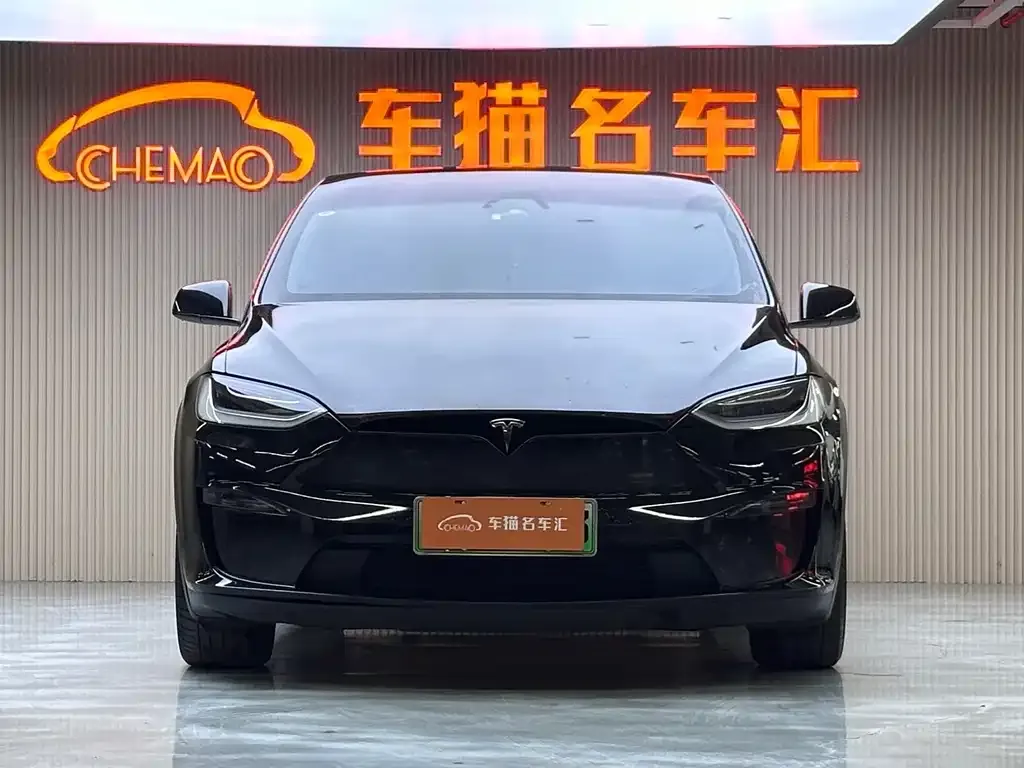 Tesla Model X — фото 6