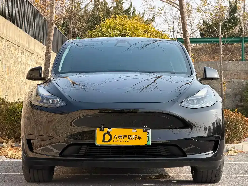Tesla Model Y — фото 8