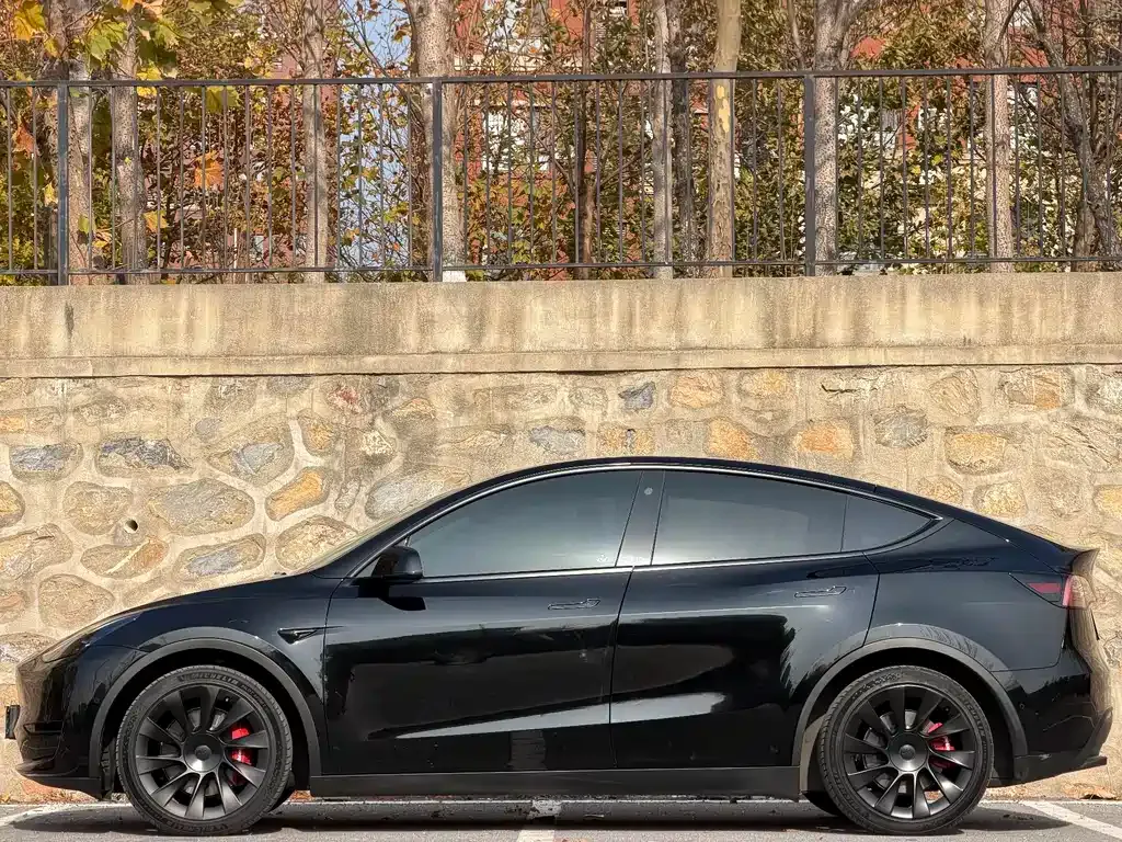 Tesla Model Y — фото 3