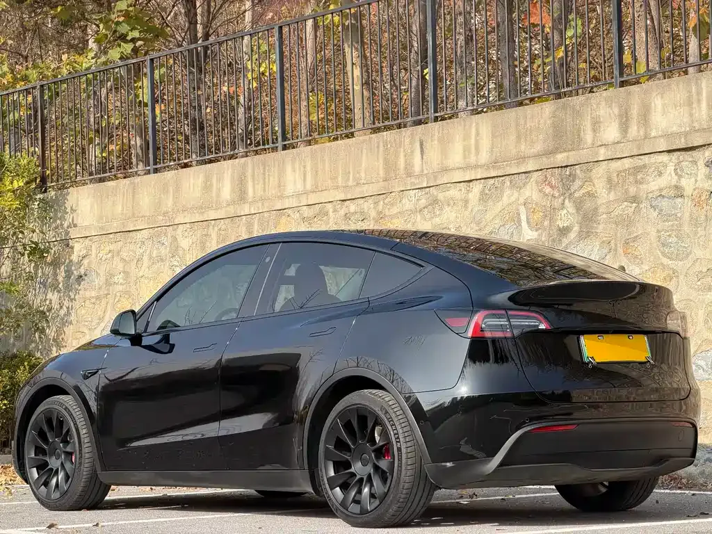 Tesla Model Y — фото 6